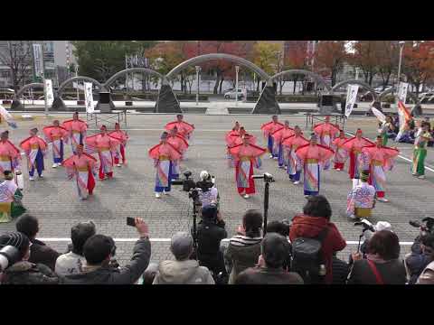 空〜Qou〜（夢街道）  2017.11.26四日市よさこい 市民公園会場