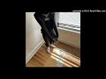 SlimeGetEm x Skino x Courtside Uzi DMV Type Beat - "Cars for cheap"