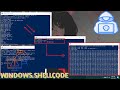 WINDOWS SHELLCODE TEST😈🔥 | Programming