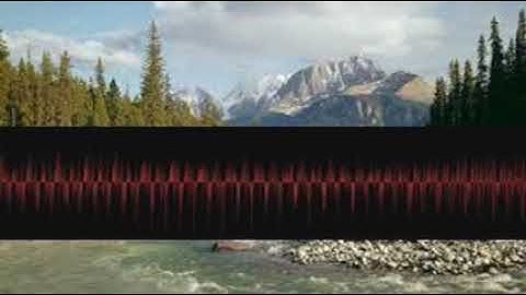 Anthropologyarts Soloist zdfverxrhs