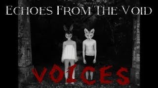 Echoes From The Void - Voices
