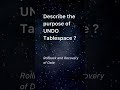 Describe the purpose of UNDO Tablespace?
