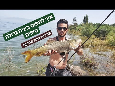 וִידֵאוֹ: איזה סוג של פיתיון לבחור כשאתה לדוג דיג עם מוט מסתובב