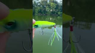 メガバス ポップXをシェイクする。バス釣り用ルアー