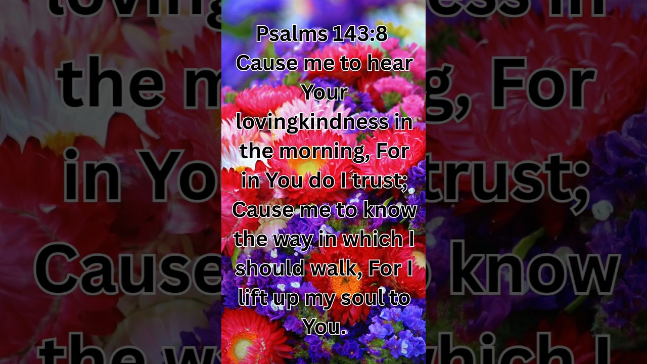 Your Daily Bible Reading Psalm 143:8 #dailybibleverse #biblereading