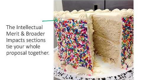BIO178 Intellectual Merit & Broader Impacts MODULE OVERVIEW