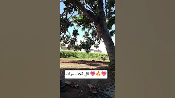 اللهم اقضي حاجتي وفك كربتي يارب Shortsfeed اكسبلور Shortvideo صلوا على النبي احاديث 