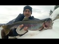 Rainbow trout fishing from shore  british columbia