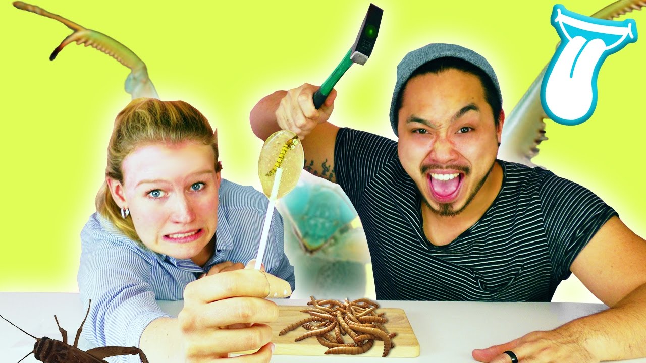 Wie schmeckt ein MEHLWURM LUTSCHER? | MEHLWURM essen mit Kathi und YOSHI | IN ALLER MUNDE