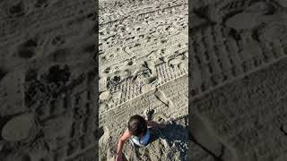¡Tu perro en la playa se ensucia, pero la diversión lo vale! #shorts