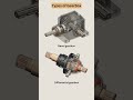 Gearbox Essentials: Bevel vs. Differential ⚙️🔩