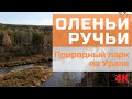 Природный парк Оленьи ручьи. Традиционная осенняя прогулка. 4К