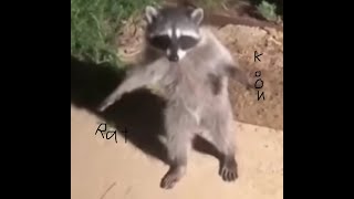 Hacker go byebye :) screenshot 4