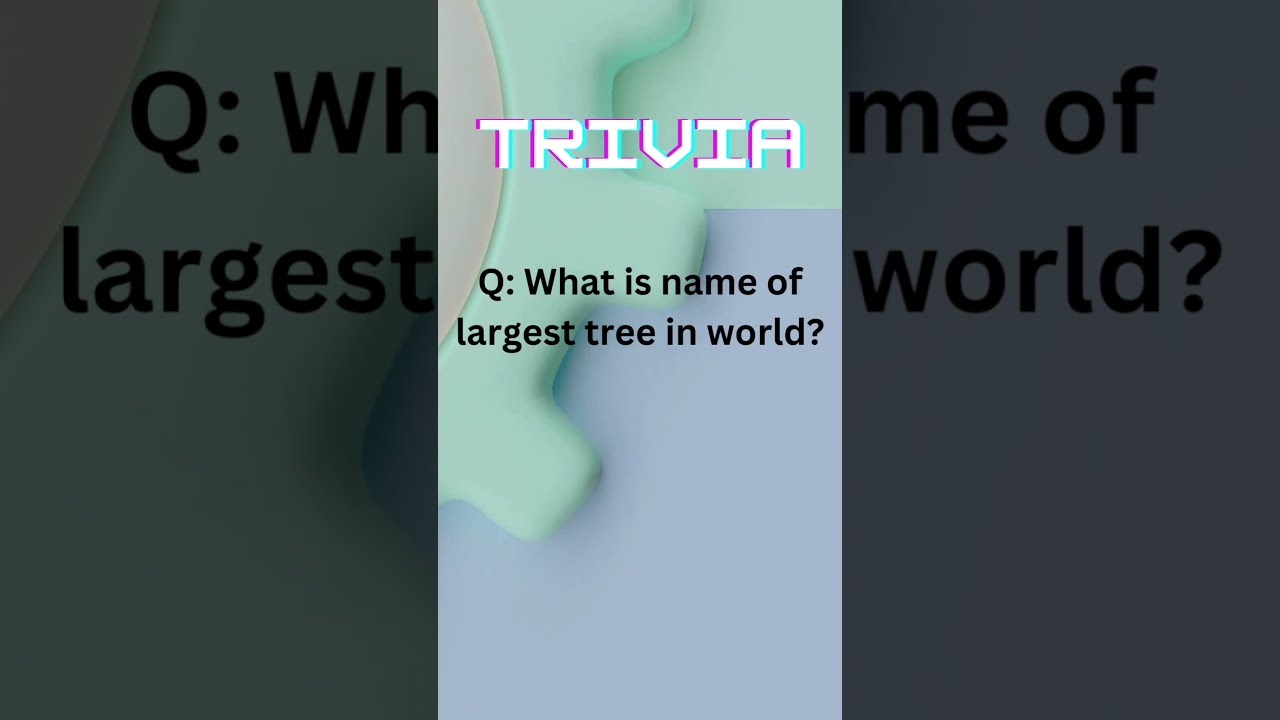 What Is Name Of Largest Tree In World YouTube What Is Name Of Largest Tree In World YouTube