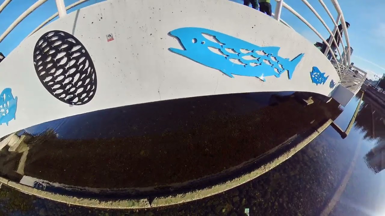 Maffeo  Sutton park, Nanaimo, bc, canada Original