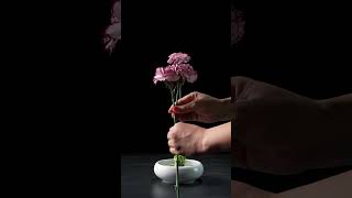Download Lagu CARNATION ARRANGEMENT Ideas - Art Ikebana #carnations #ikebana MP3