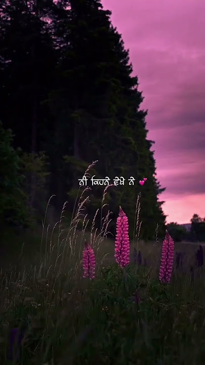 surjit bhullar punjabi song chup