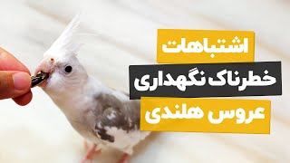 ❤️‍🩹ده اشتباهی که باعث میشه عمر عروس هلندی ات کوتاه شه