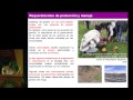 view Inka Road Symposium 26 - Inka Expansion: The Road Network in Colombia digital asset number 1