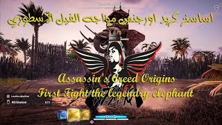 اساسنز كريد اورجنس مواجهة الفيل الاسطوري| Assassins Creed Origins First Fight the legendry elephant