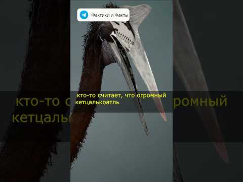 Летающий кошмар из прошлого.