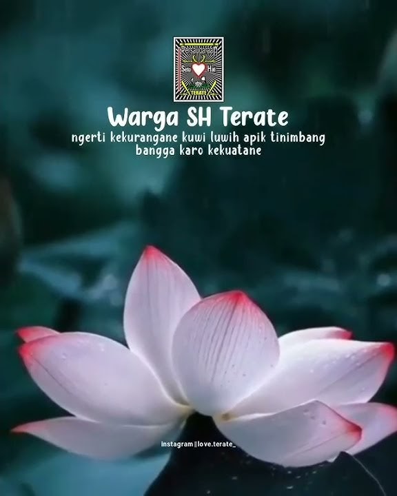 Story Wa PSHT Keren