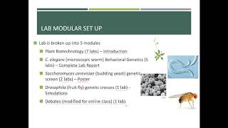 BIO 211 Lab 1 1