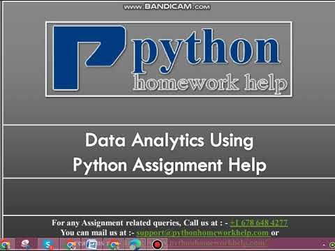 Python Programming Assignment Help - YouTube