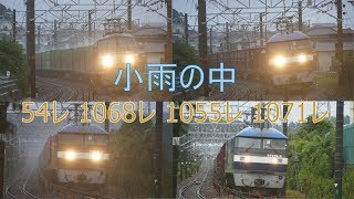 2019/08/30 JR貨物 雨降り午前6時台は薄暗くなった 貨物列車4本