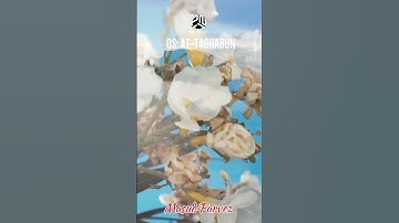 64-Surah At Taghabun  سورة التغابن