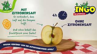 INGO DIE SPÜRNASE | Ingo forscht zum Thema "Äpfel" 🍎