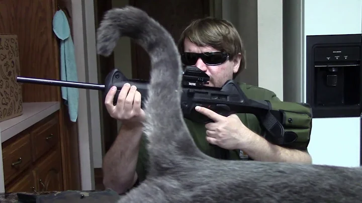 Italian Beretta CX4 Storm 9mm Carbine Review & History