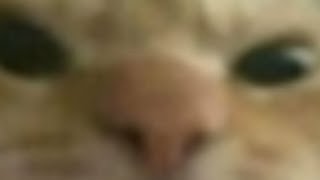 Bebi̇stan Abone Aliyor