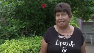 DOCUMENTAL OPERATIVO PNGT - FONTANA