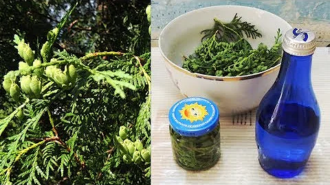 Простатит и аденома. 🌿 