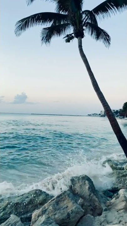 Mentahan Polosan Video Aesthetic 30 Detik | Story WA Estetik 30 Detik | Suara Deburan Ombak Pantai