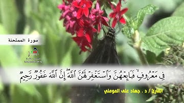 سوره الممتحنة ( ايه 7 ) و سوره الصف بصوت القارئ د.جهاد المومني