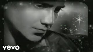 Video thumbnail of "Alejandro Fernández - No (Audio Oficial)"