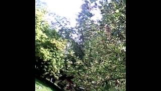 Fails And Winners. Base Ball