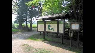 Wytham Woods in a changing world