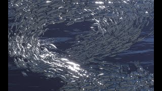 VIVE Arts | Behind the Scenes - Wu Tsang: 'Of Whales' and 'A mighty mass emerges'