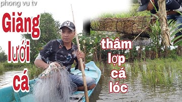 Tập 25 [ Mưu Sinh Mùa Nước Nổi 2021 ] Giăng Lưới Cá Rô Đồng Và Thâm Lợp Cá  / phong vu tv