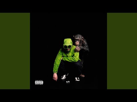 Avenuepluggg - Паранойя