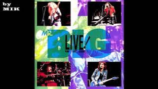 * Mr.Big - Live! Raw Like Sushi (Full Album)