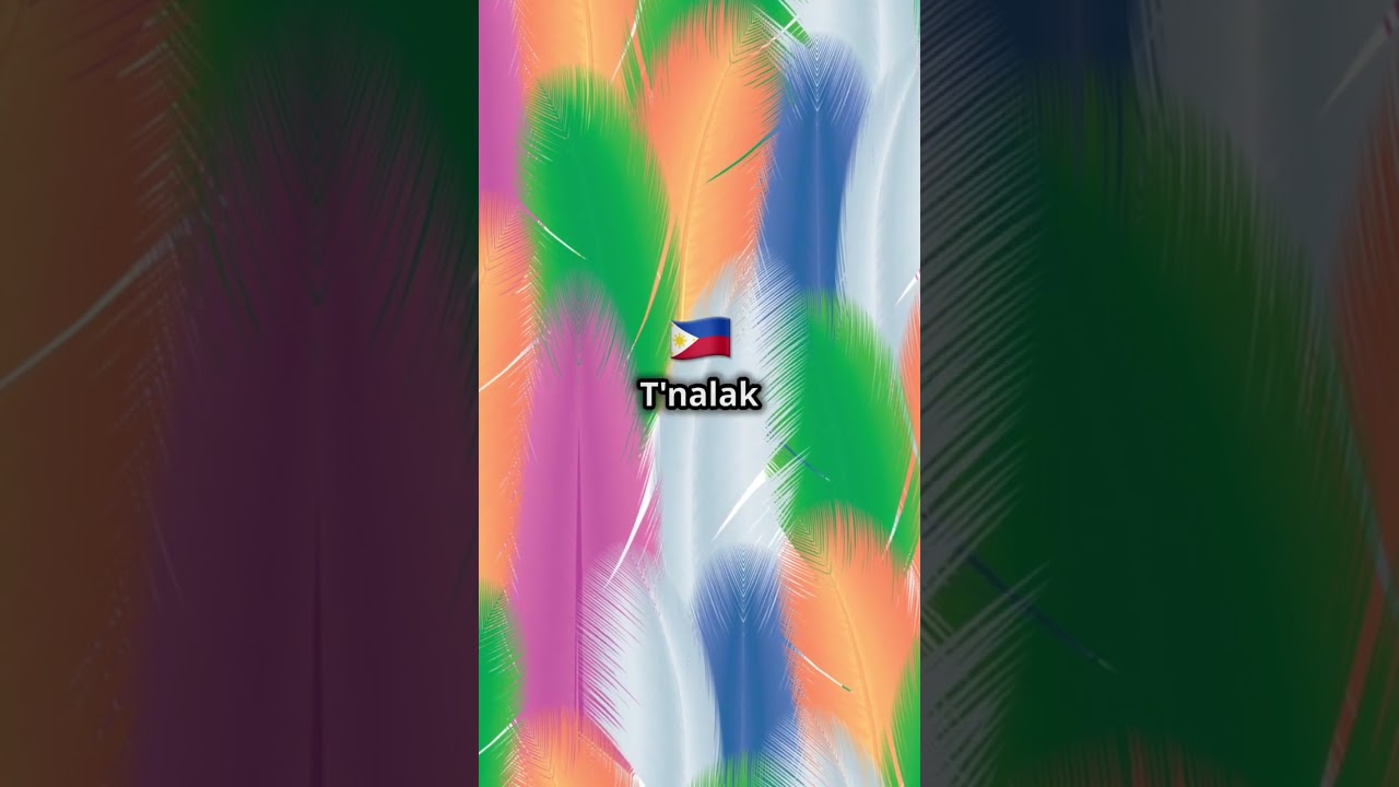 Dream Weavers of Mindanao: The Art of T’nalak. 