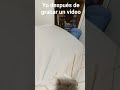 #memes yo después de grabar un video
