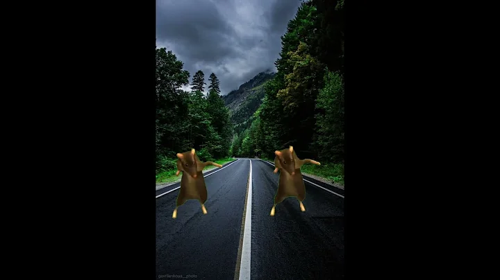 Rat Dance | EASY to EXPERT but...