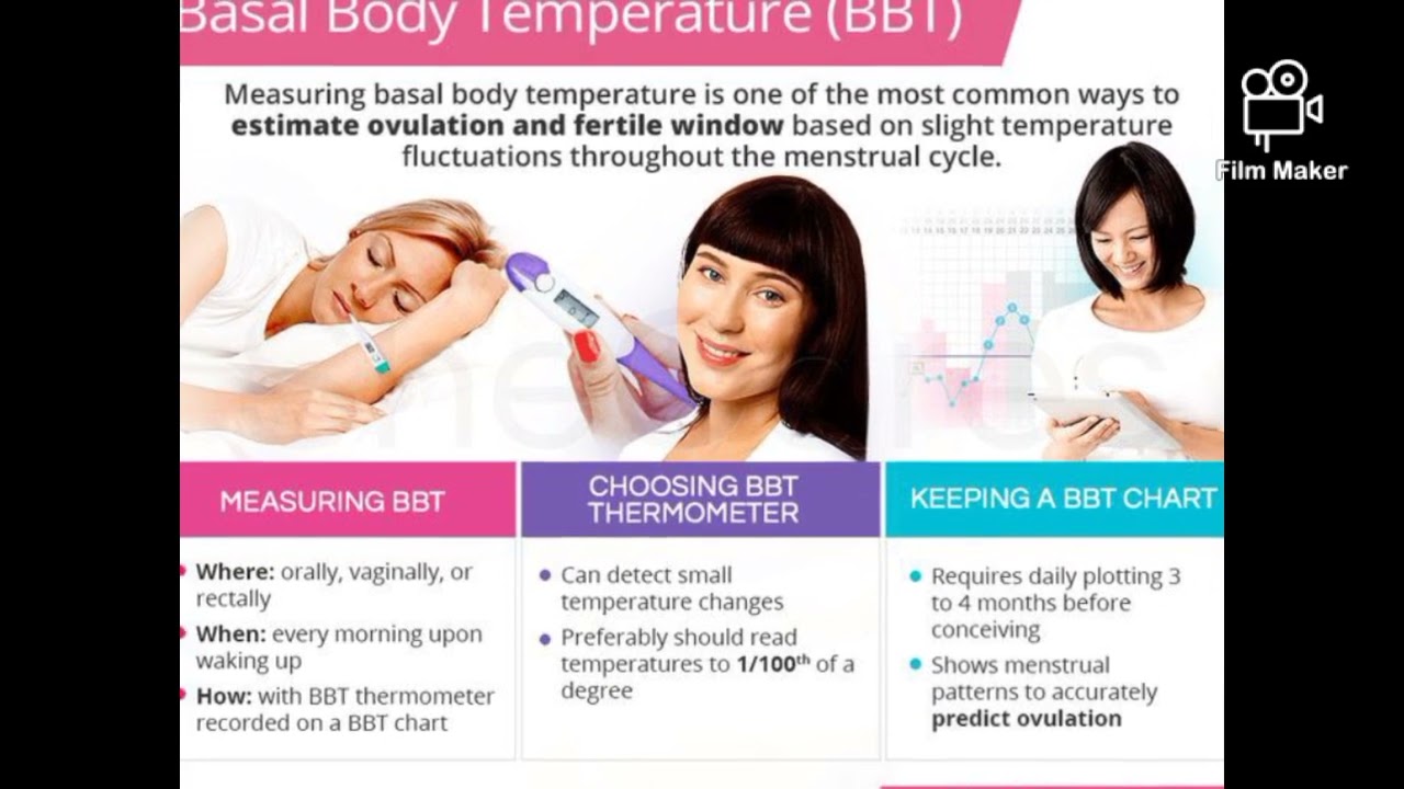 FAHAMU DALILI 5 ZA SIKU YA HATARI ( OVULATION).SIKU AMBAZO NI RAHISI KUPATA UJAUZITO