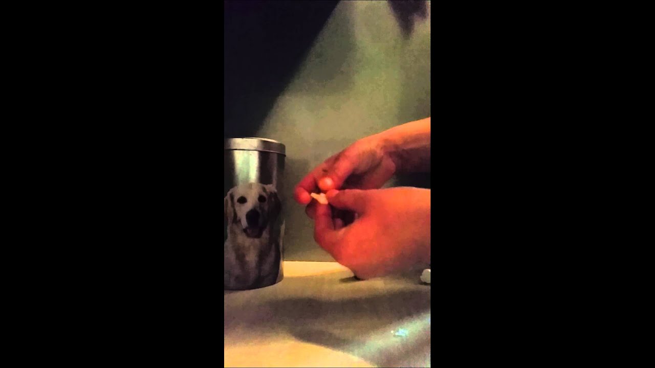 Tabletten geben beim Hund YouTube