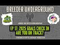 Episode 17: 2025 Ball Python Business Goals Check In, Are You On Track?